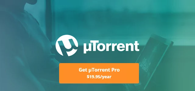 utorrent search protect