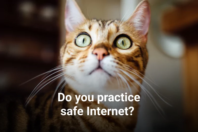 Do you practice safe Internet?