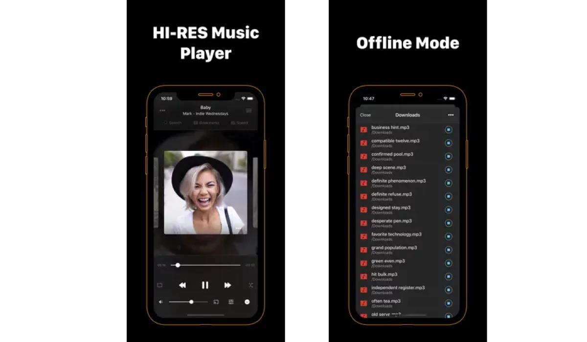 Flacbox: Hi-Res Music Player