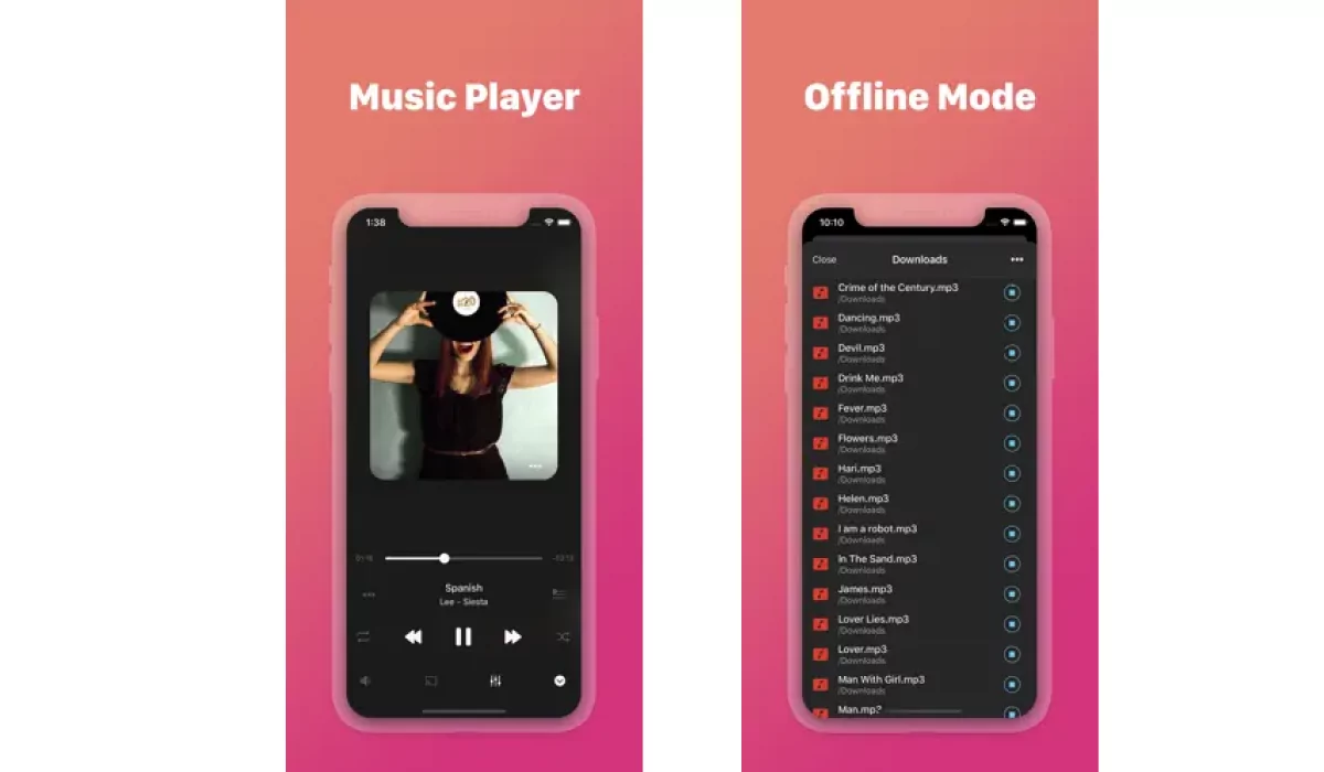 Evermusic Pro: offline player