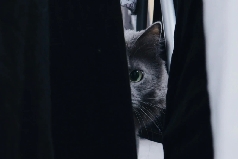 5 Ways to Hide Your IP Address While Streaming